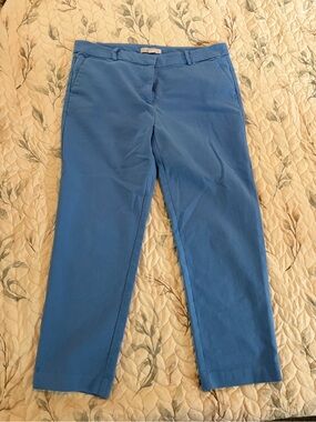 LOFT Blue Straight Chinos